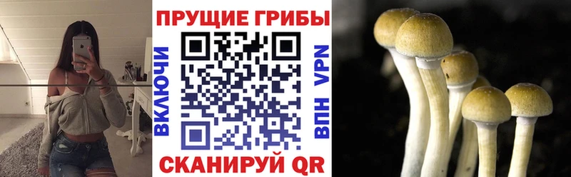 продажа наркотиков  Надым  Псилоцибиновые грибы ЛСД 