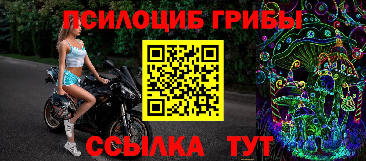 Галлюциногенные грибы Cubensis  Вход с VPN  Галлюциногенные грибы мухоморы  Надым 